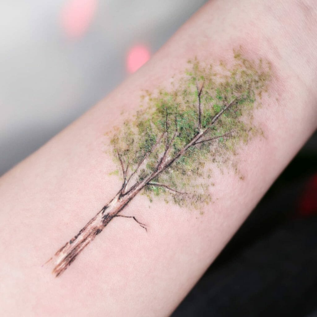 Amazing Birch Tree Tattoo Ideas For People Starting New Adventures