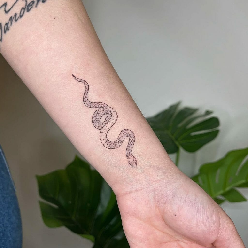 Coiled Snake Outlined Tattoo