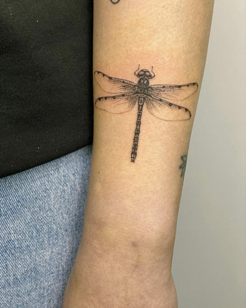 Dragonfly Drawing Tattoo