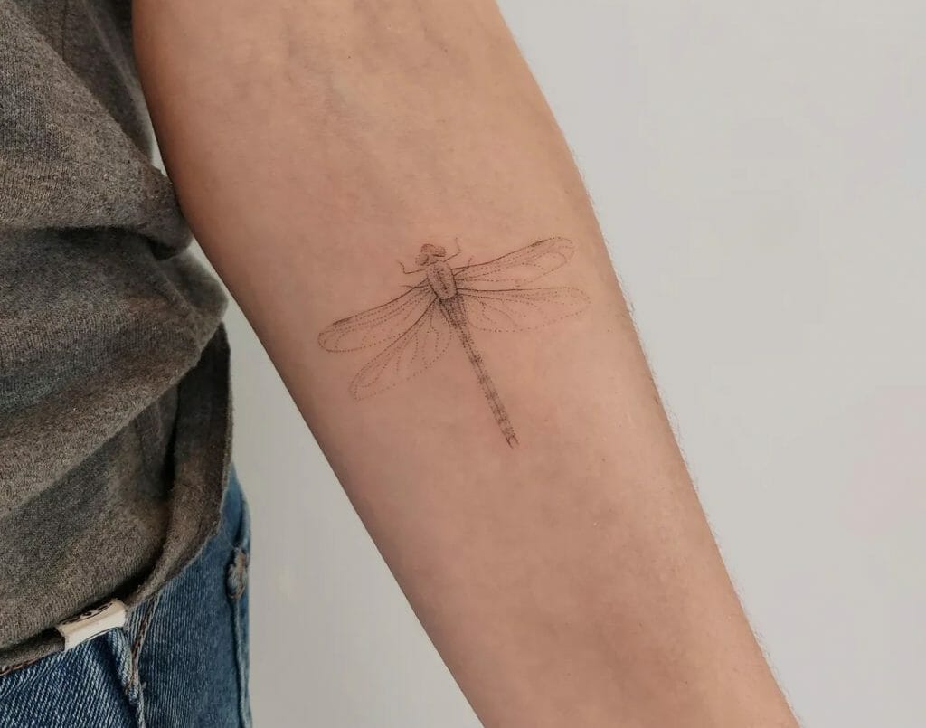 Dragonfly Drawing Tattoos