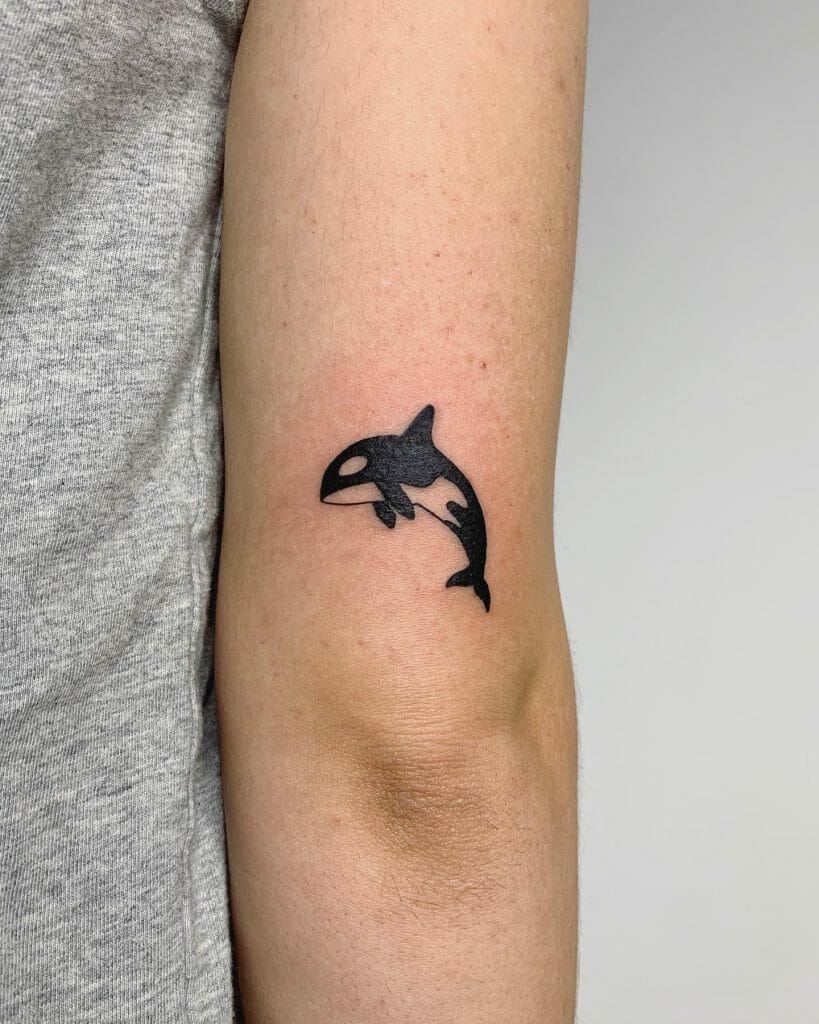 Monochromatic Dolphin Tattoo Done In Fineline Style