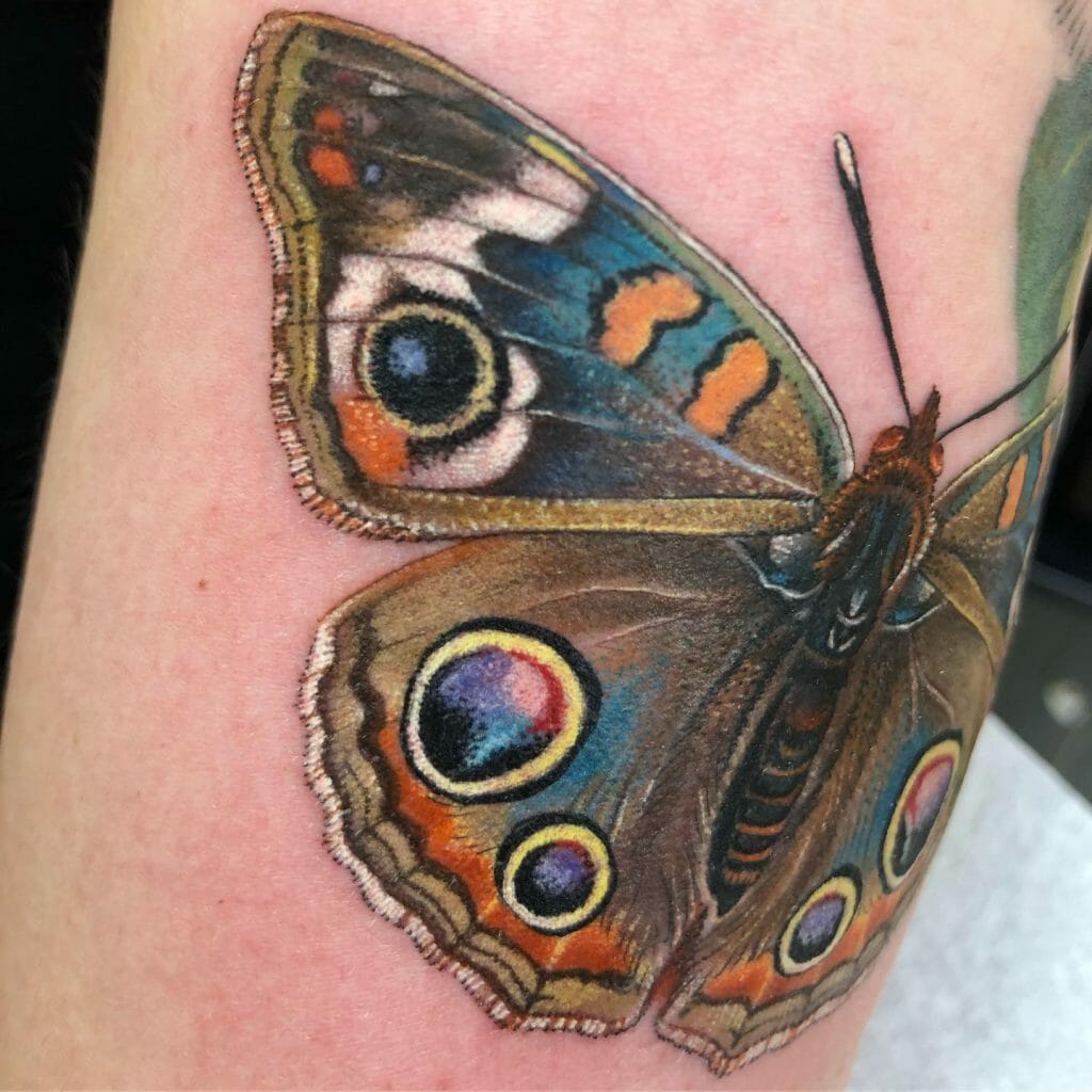 Realistic Butterfly Tattoos