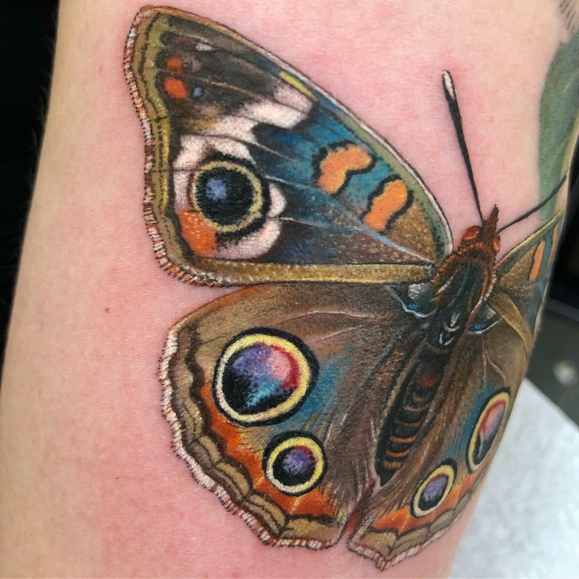 101 Best Butterflies Tattoo Ideas That Will Blow Your Mind! - Outsons