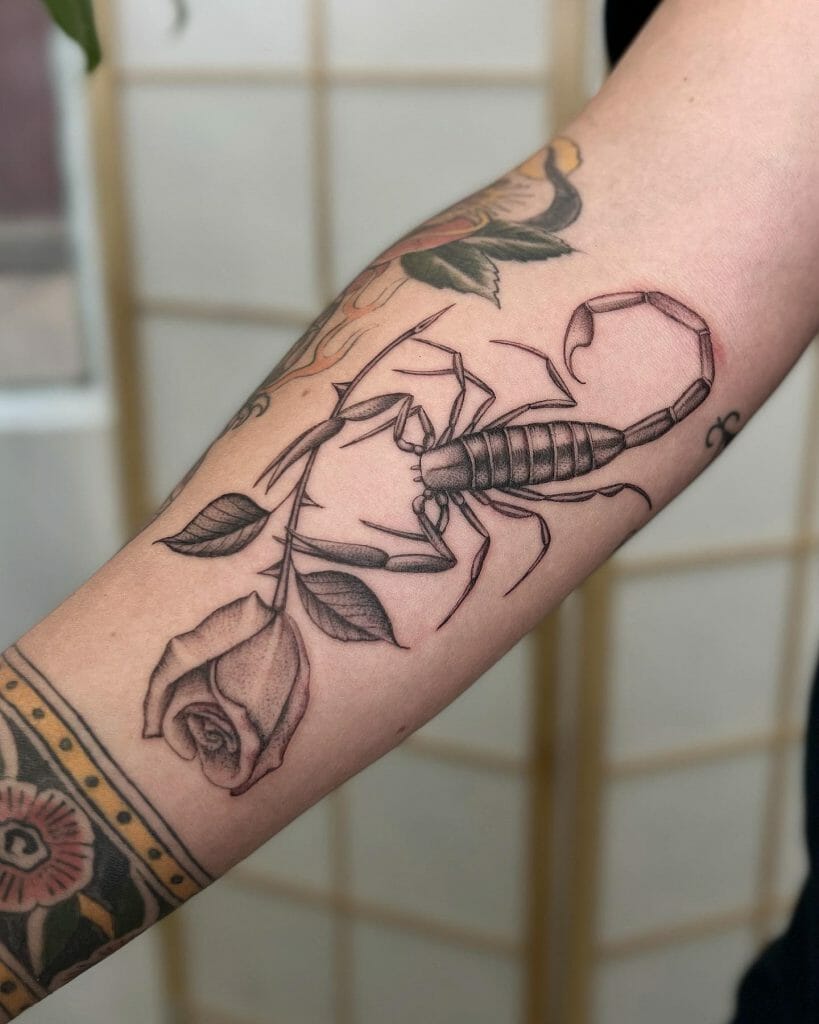 Rose And Scorpion Tattoo