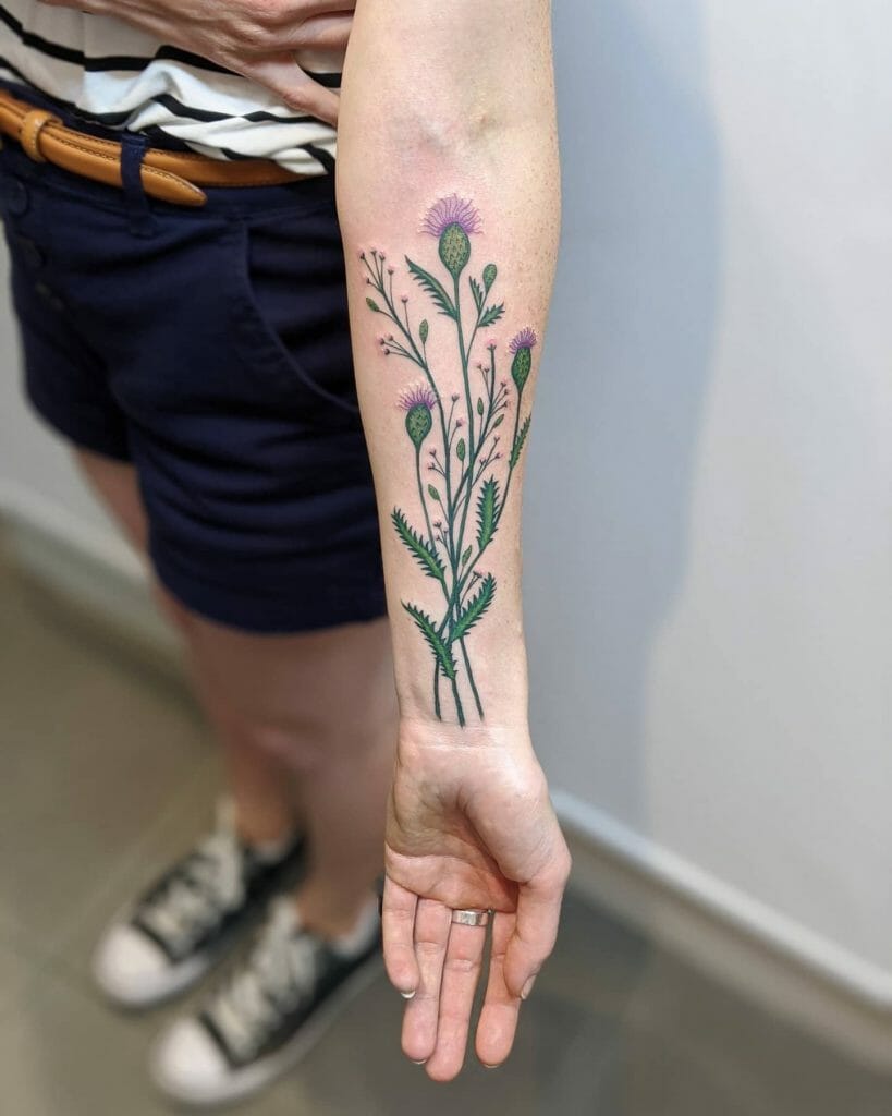 Scottish Thistle Tattoo