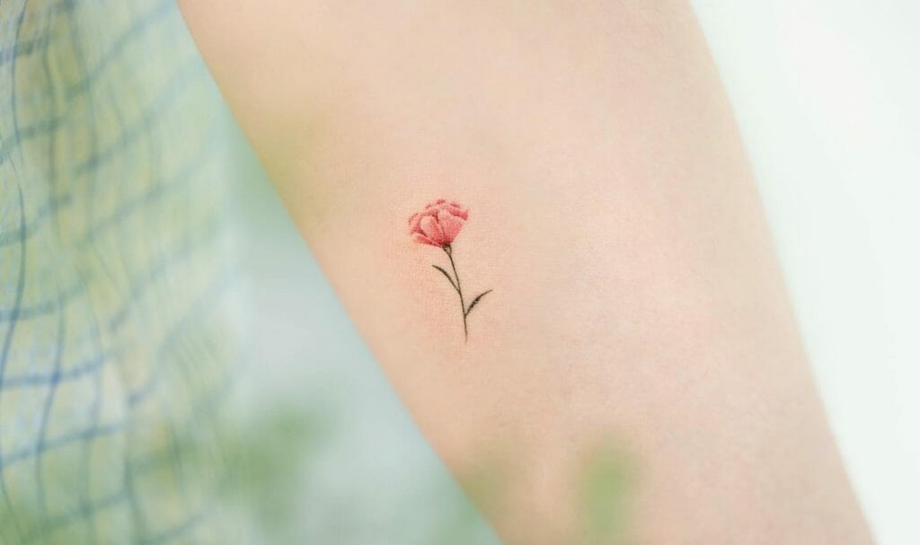 Simple Carnation Tattoos