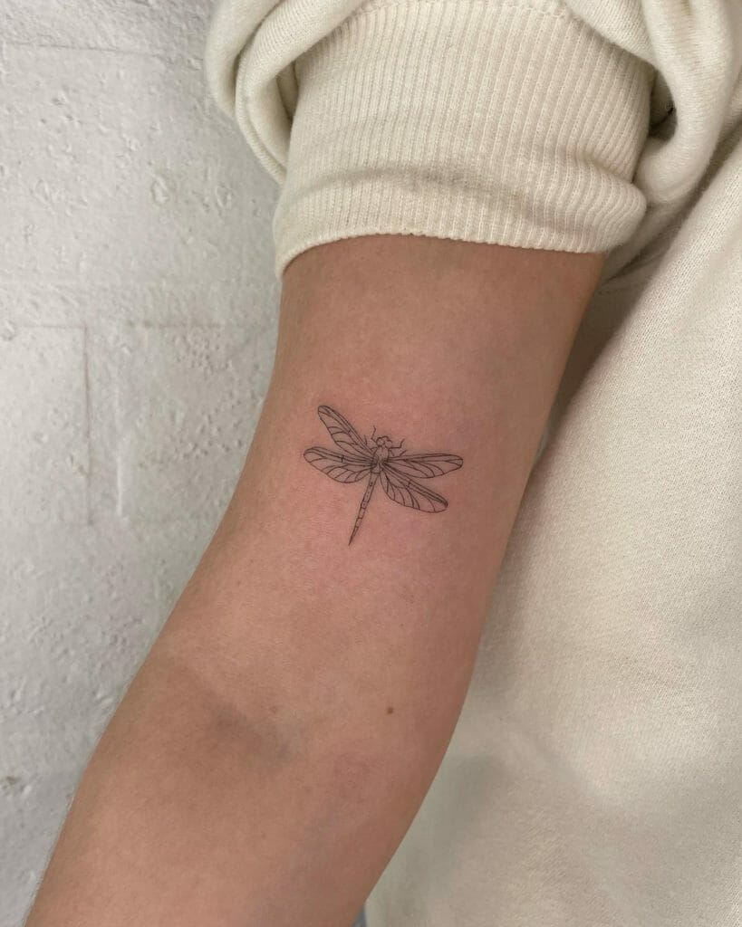 Small Dragonfly Tattoo Designs ideas