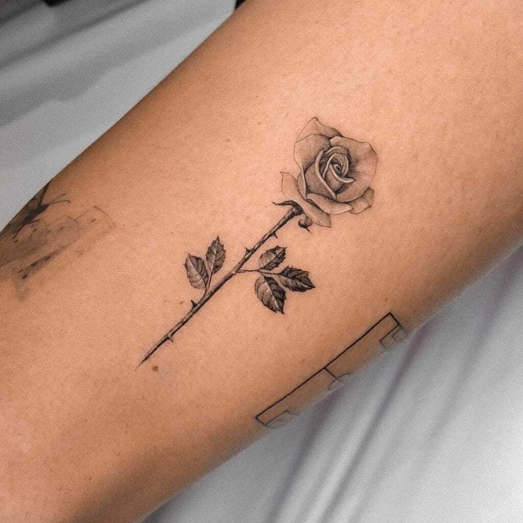  Black Fine Line New Rose Tattoo With Long Stem