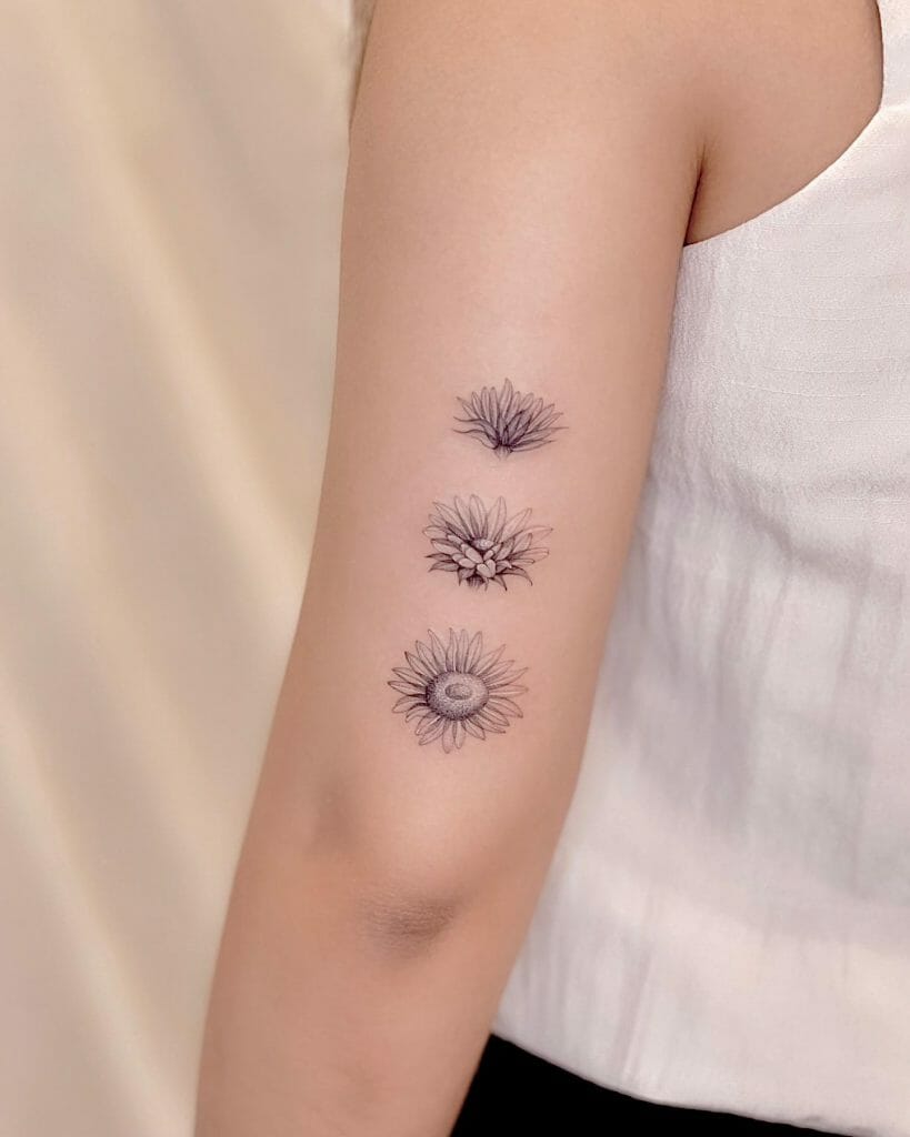 Blooming Phases Of Black And White Sunflower Tattoo