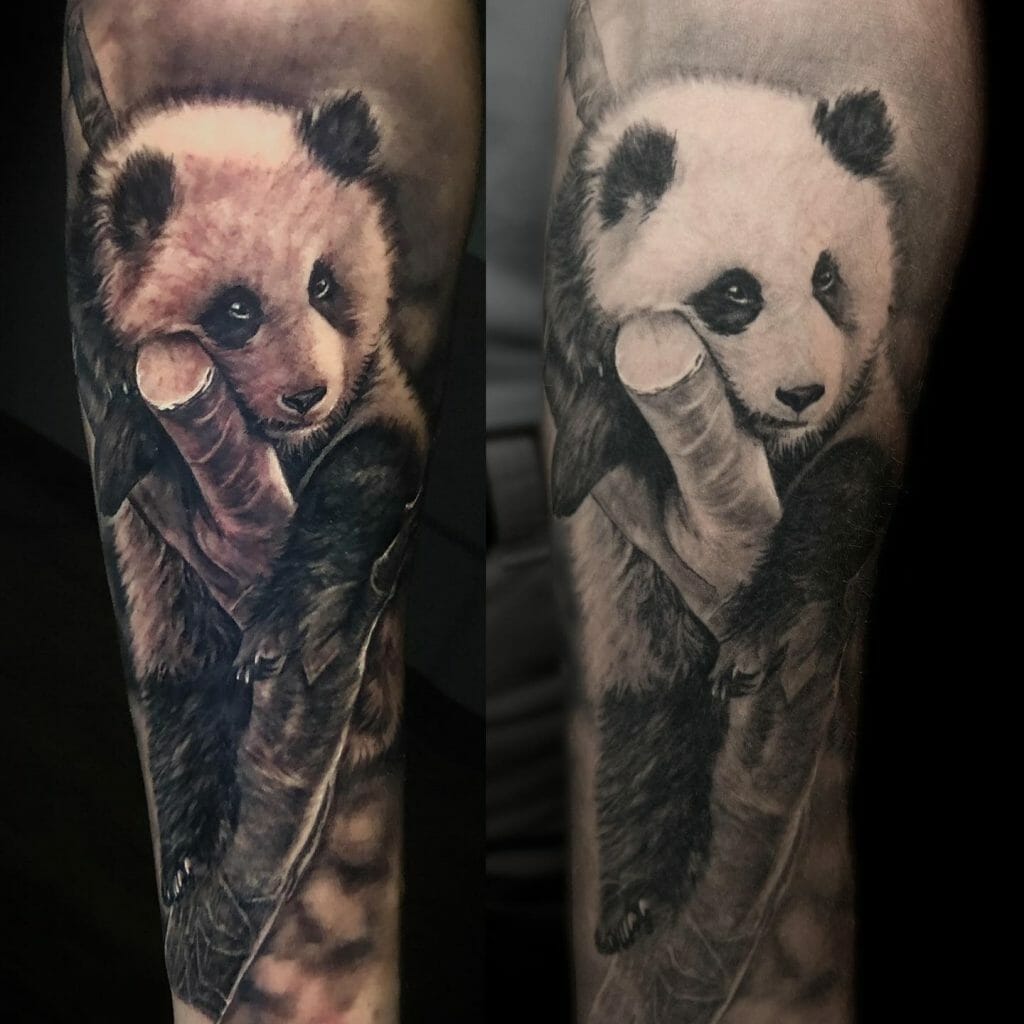 Gorgeous Panda Stencil Forearm Tattoo