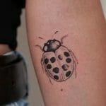 Meaningful Ladybug Tattoos