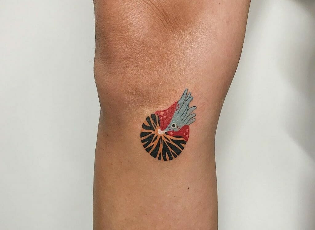 Rad Nautilus tattoo done by DasLeitbild in Los Angeles California   tattoos  Nautilus tattoo Shell tattoos Geometric tattoo