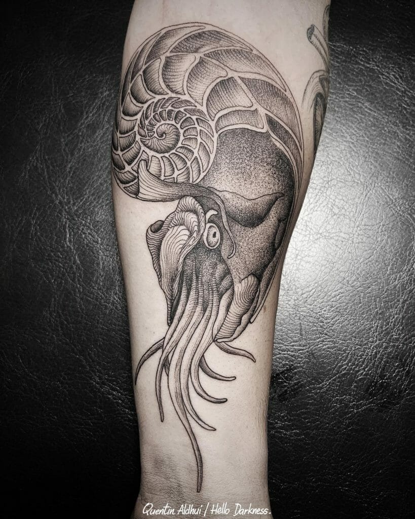 Shaded Nautilus Tattoo