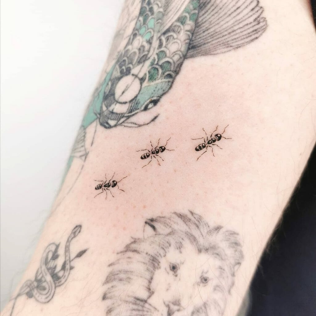 Getting Antsy Creepy Crawly DIY Tattoos  Fandango