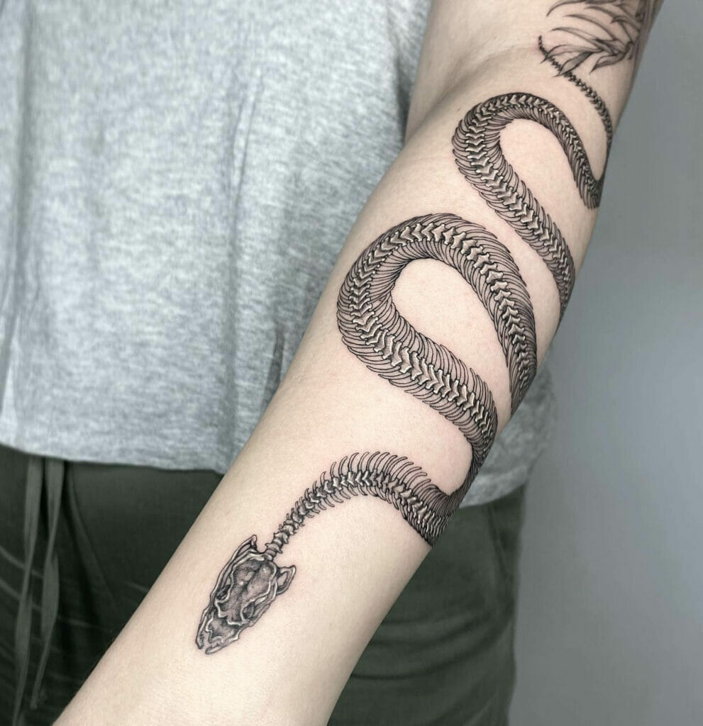 Snake Skeleton Tattoos For Sleeve Tattoo