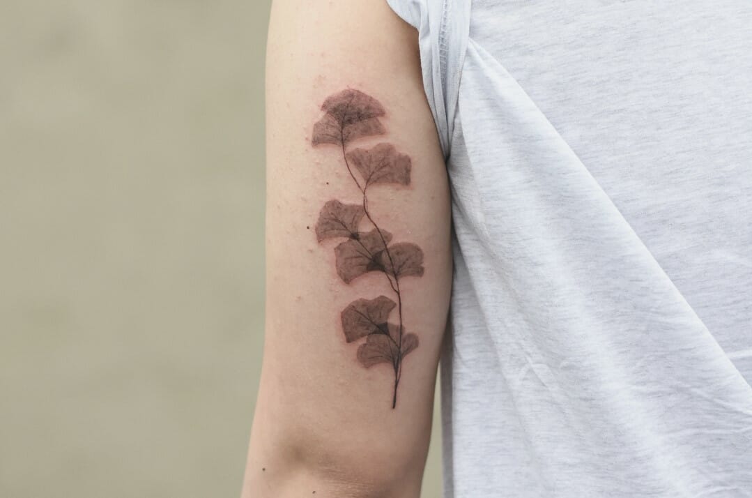 Ginkgo Leaf Temporary Tattoo set of 3  Etsy