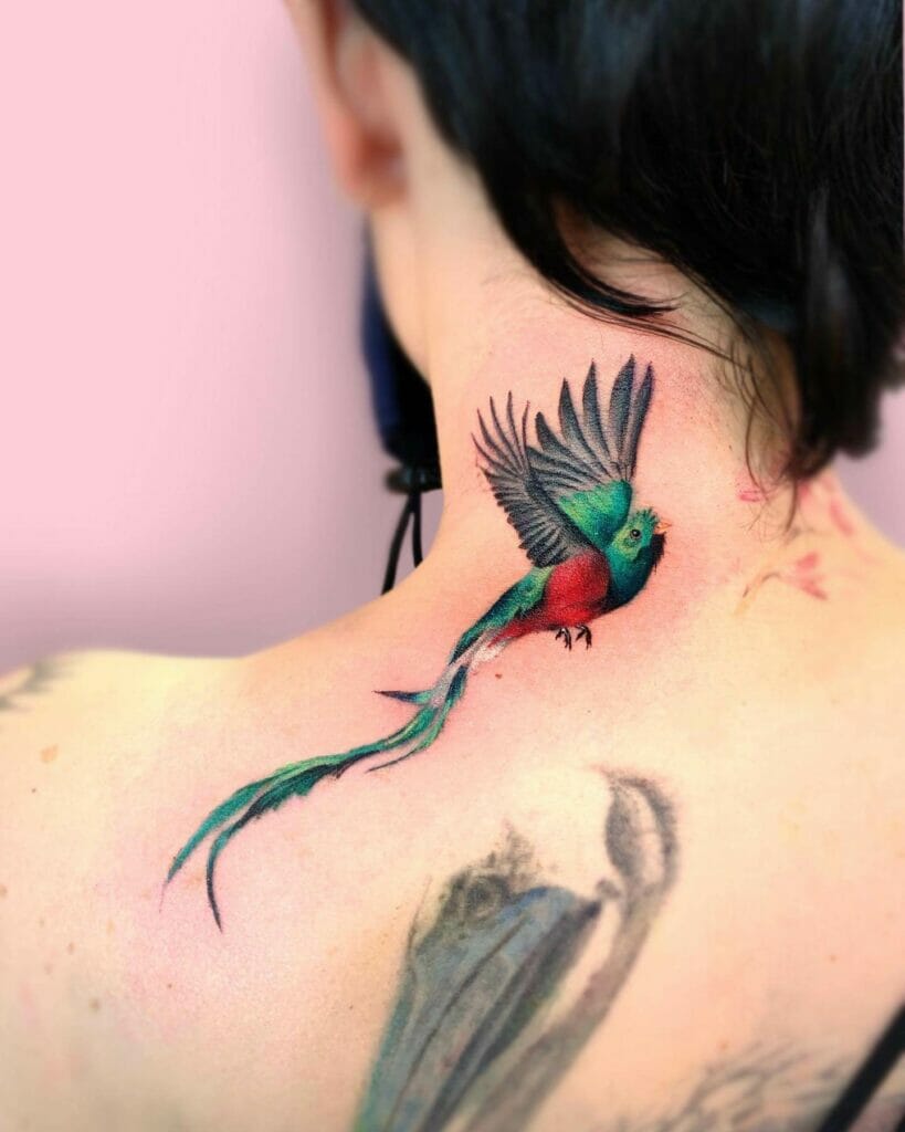 Stunning And Spectacular Quetzal Tattoo