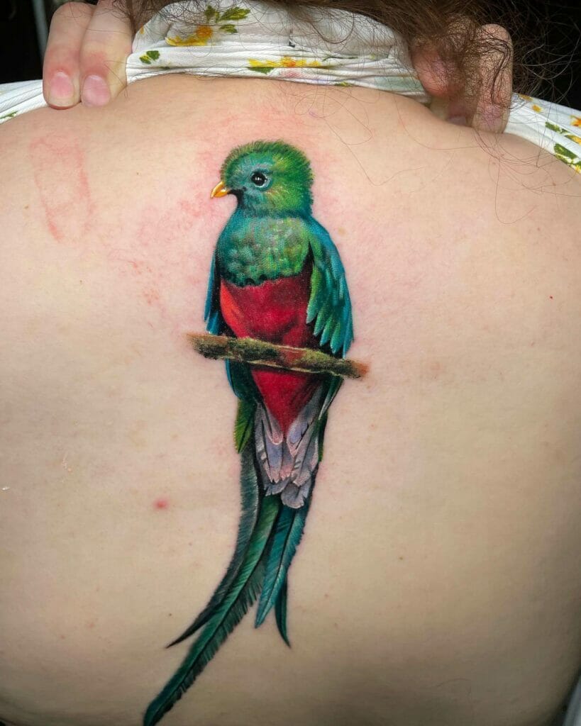 Astonishing And Dazzling Quetzal Tattoo