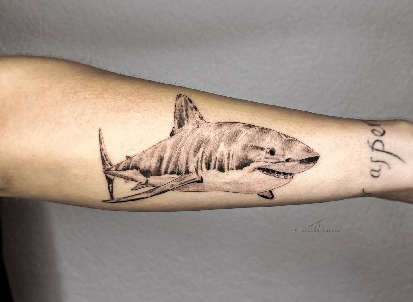 20 Shark Fin Tattoo Designs For Men  Masculine Ink Ideas