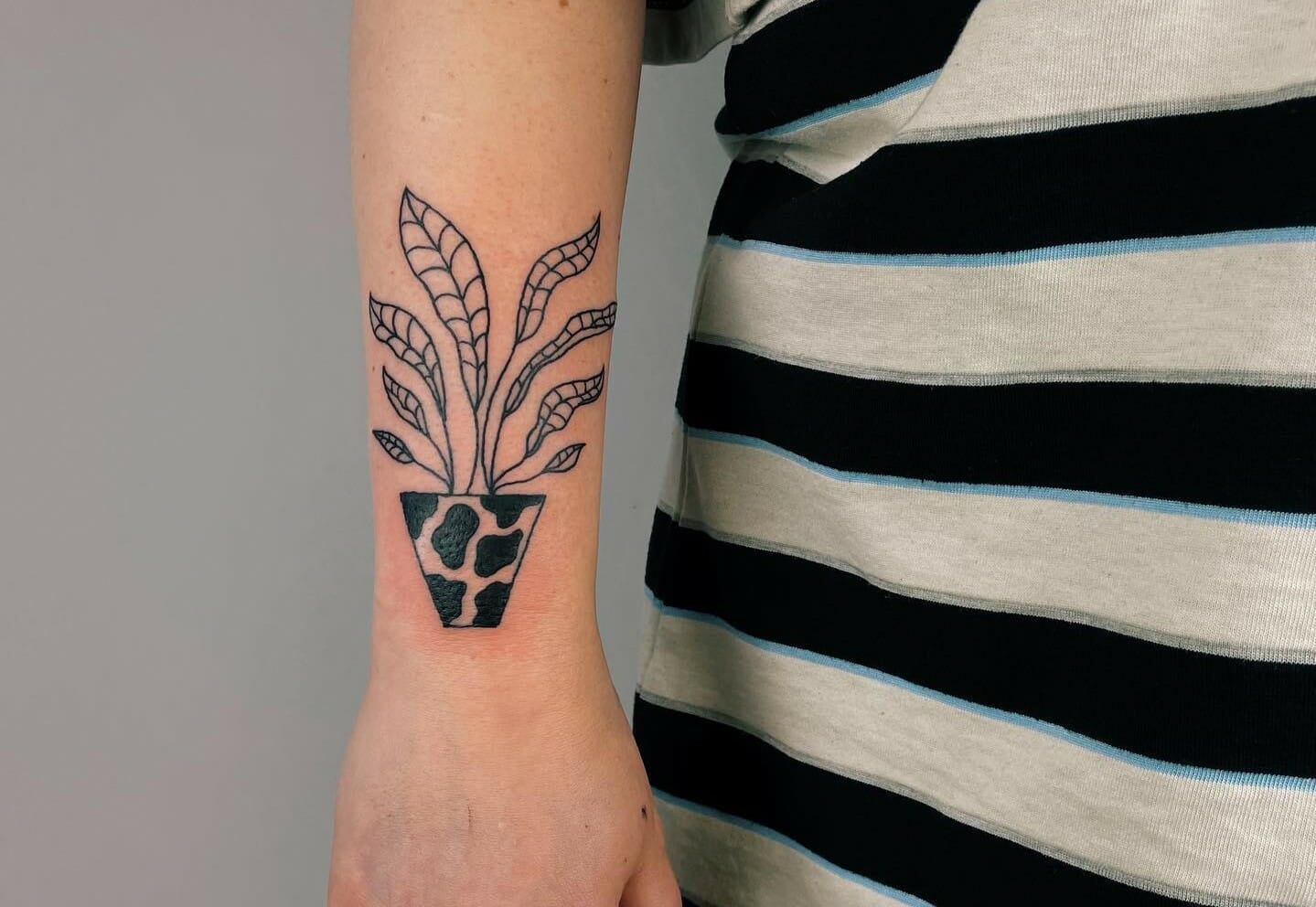 Tattoo uploaded by Xavier  House plant tattoos by Julia Shpadyreva  JuliaShpadyreva blackwork fineline houseplant pottedplants  Tattoodo