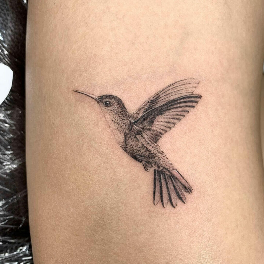 Simple Outline Simple Hummingbird Tattoo With Dot Work