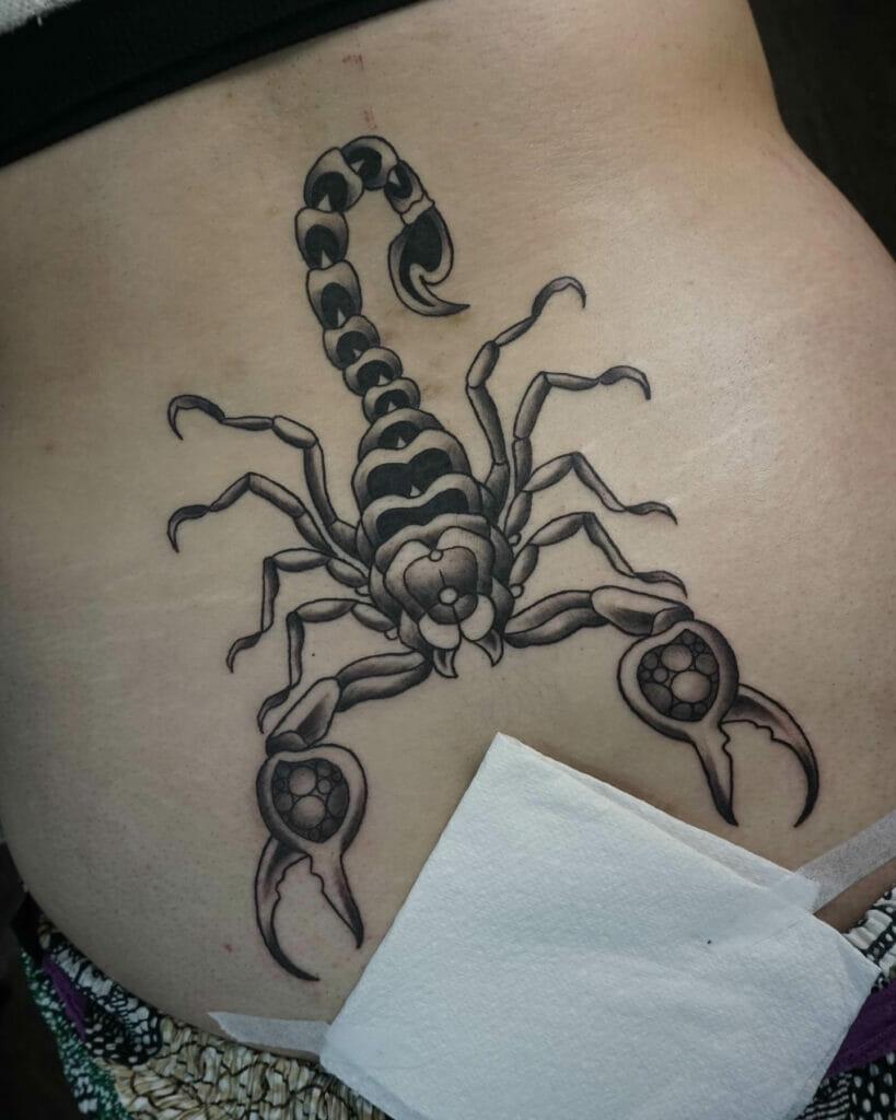 Scorpion Tattoo Cover-Up For WomenScorpion Tattoo Cover-Up For Women