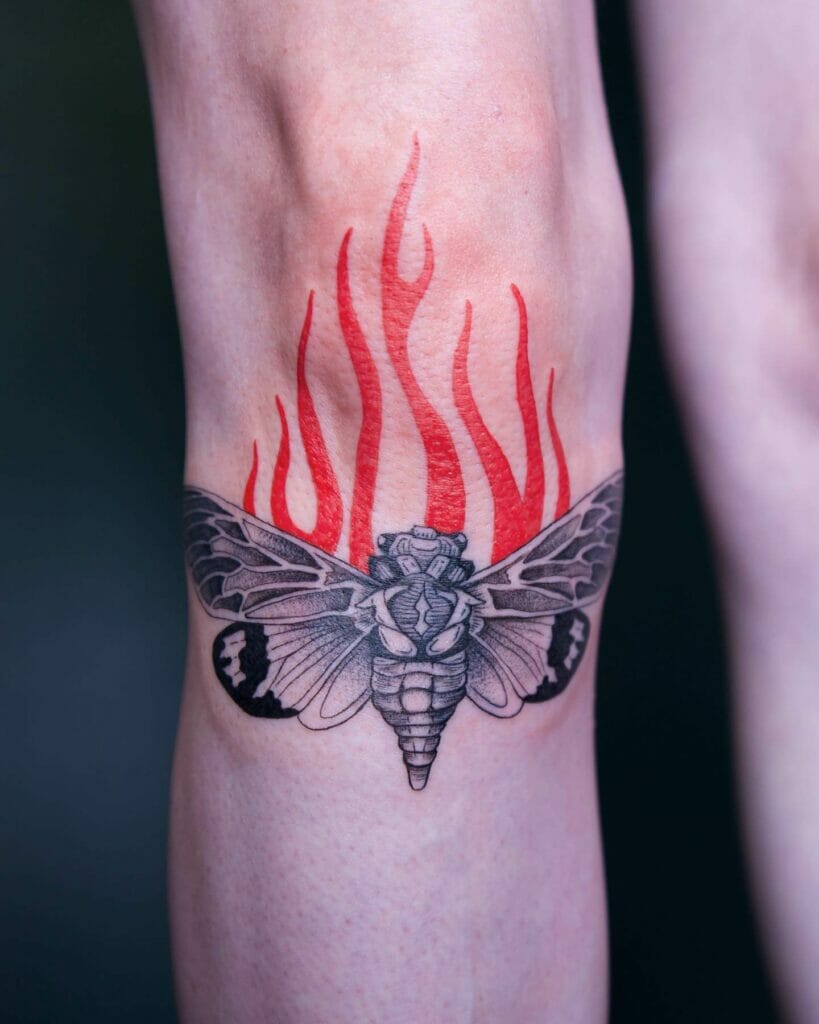 Cicada Tattoo For Knee