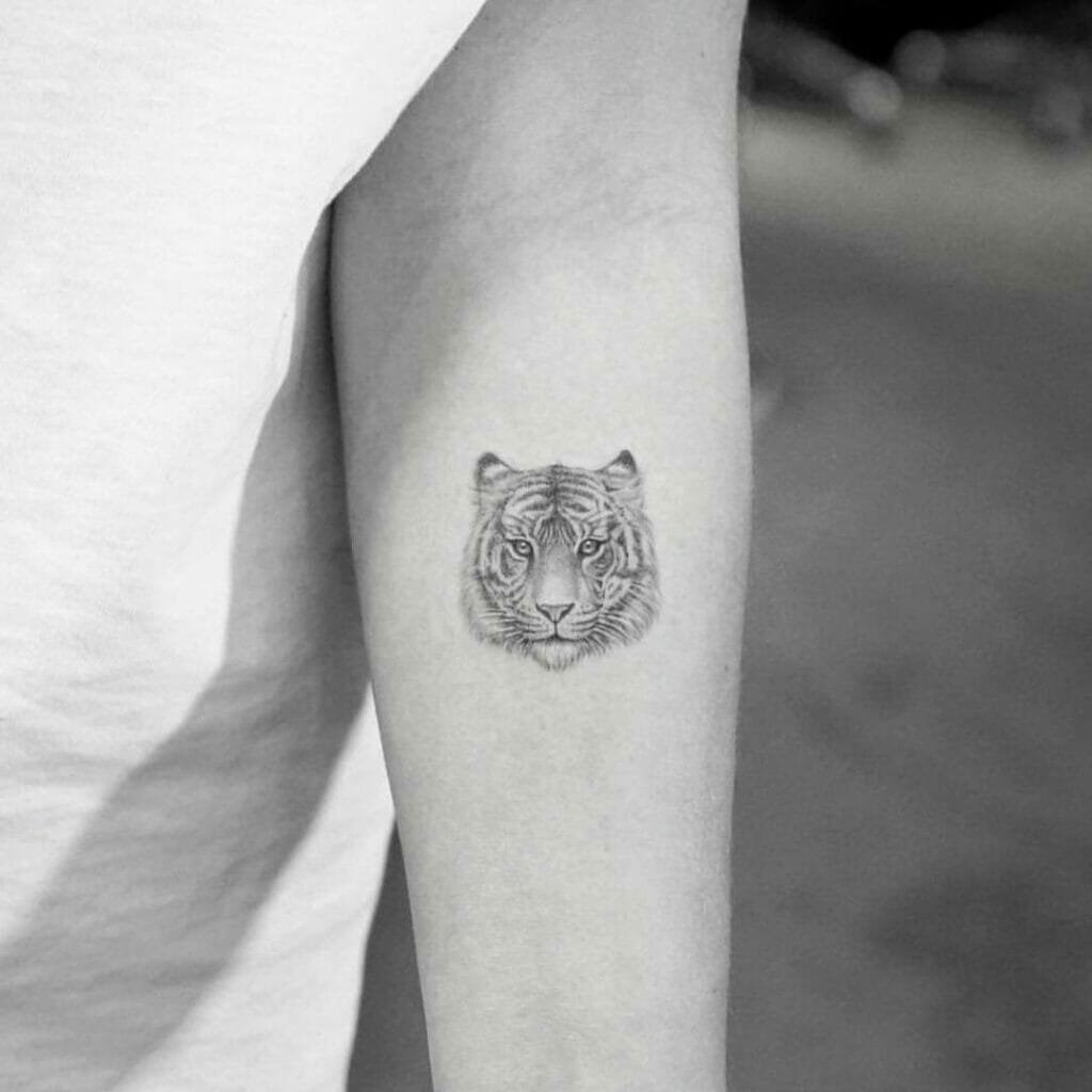 Tiger Micro Realism Tattoo Designs