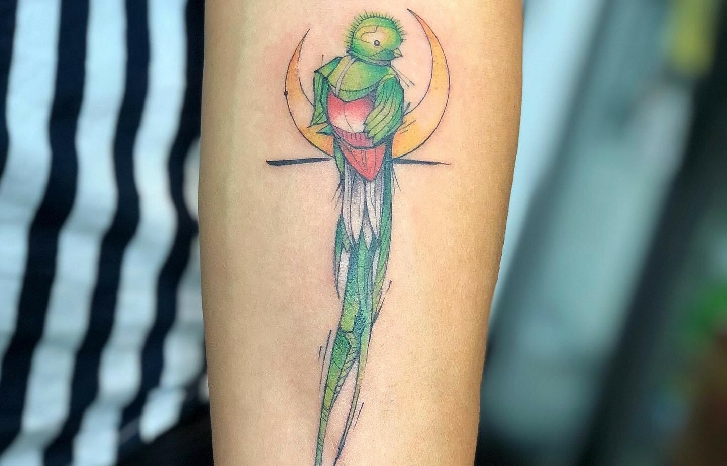 A Colorful Quetzal Tattoo by Adam Sky Hold Fast Studio Redwood City Bay  Area California  rtattoos