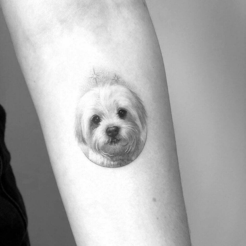 Micro Realism Tattoo Of Dog