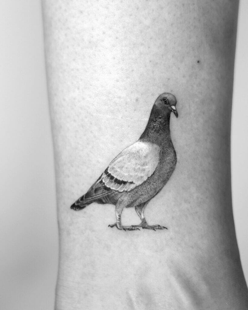 Elegant Pigeon Tattoo