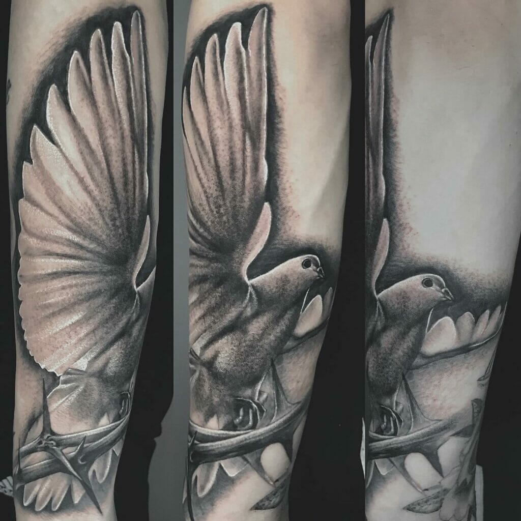 Forearm Pigeon Tattoo
