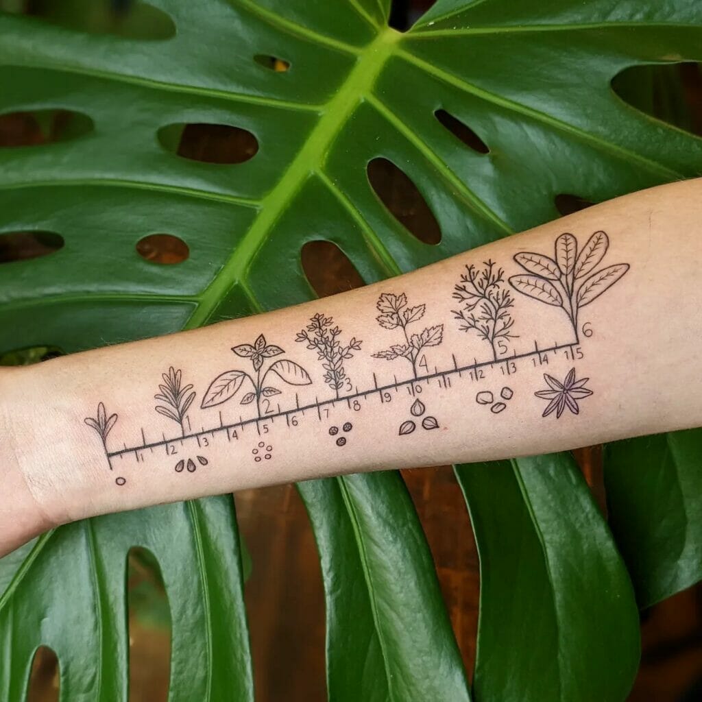 Herbs And Spices Ruler Tattoo