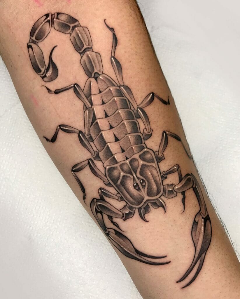 Left Forearm Black Work Scorpion Tattoo Outline Designs