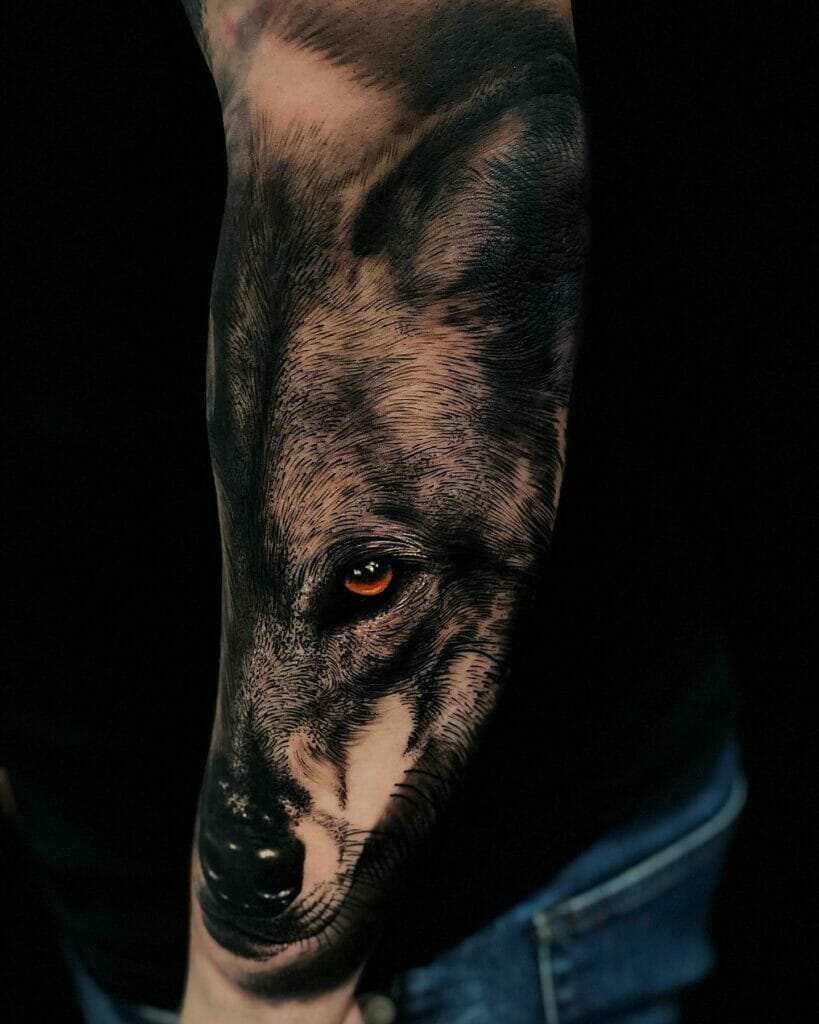Left Forearm Realistic Gray Wolf Tattoo Design