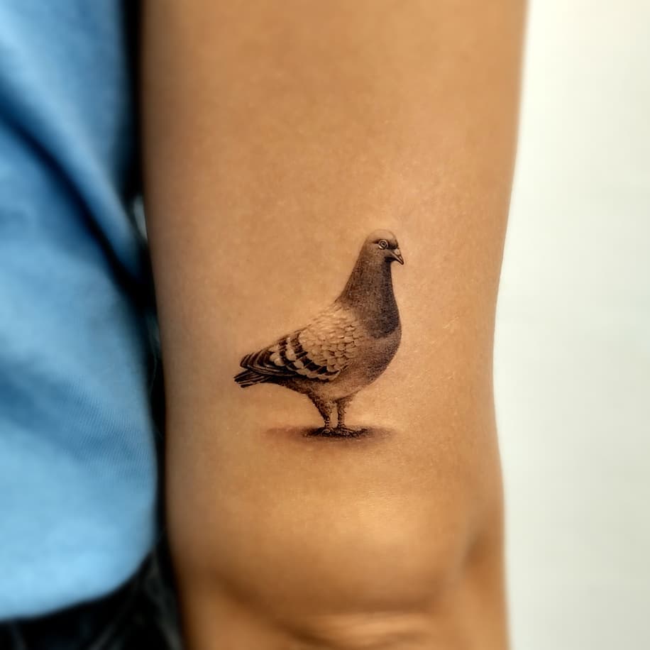 Pigeon Tattoo Ideas