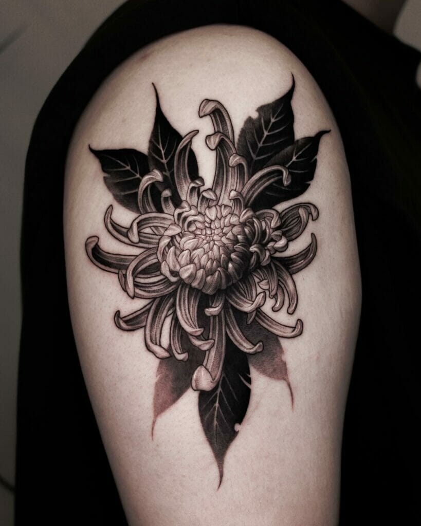 Simple Chrysanthemum Tattoo