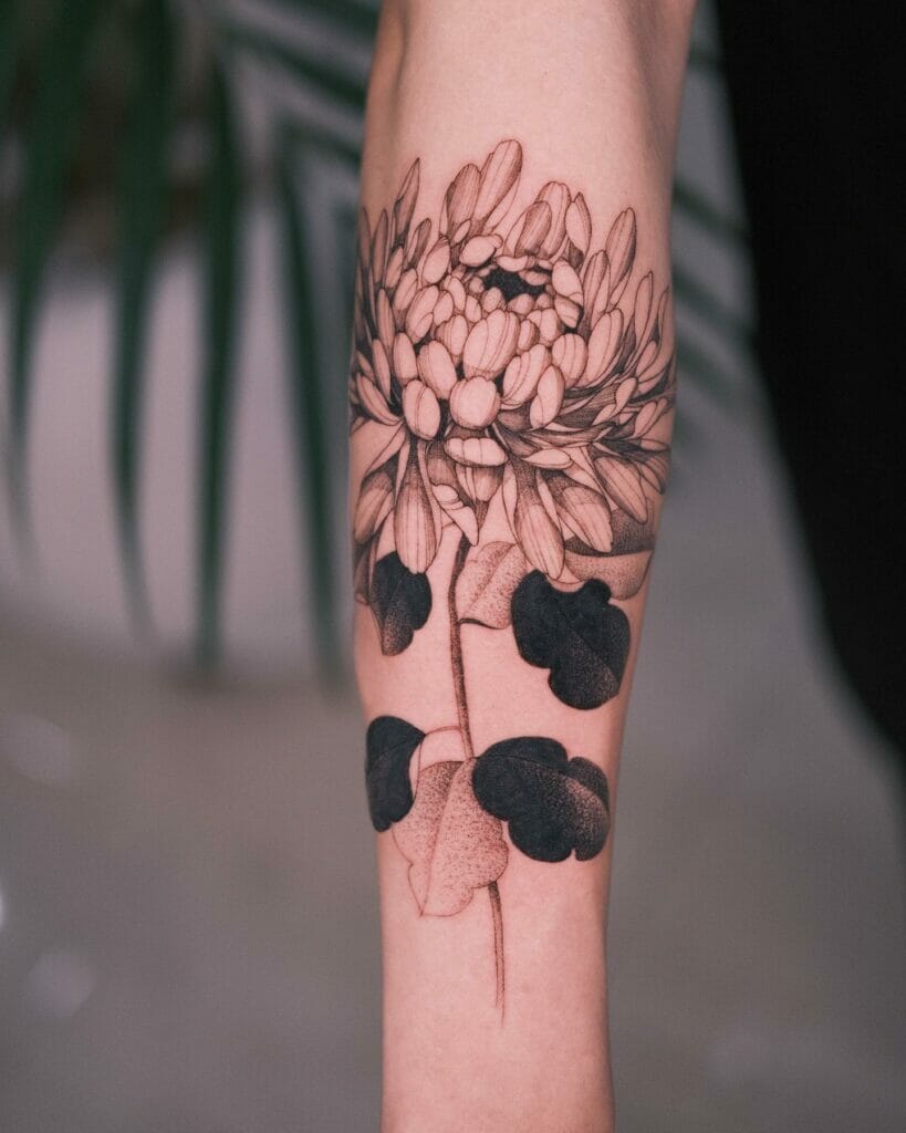 Simple Chrysanthemum Tattoos