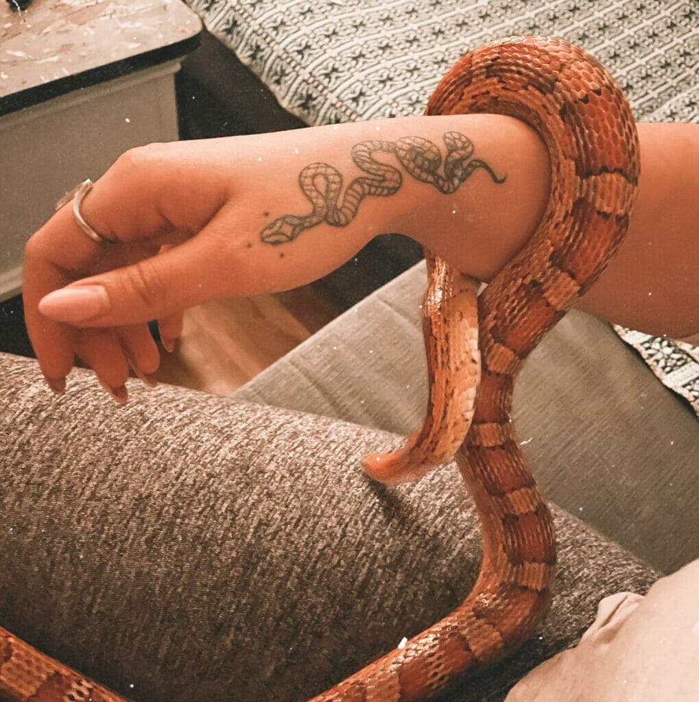Snake Hand Tattoo