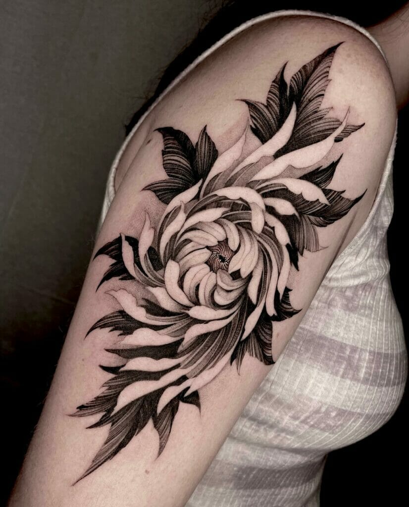 Spiral Chrysanthemum With Detailed Leaves Tattoo