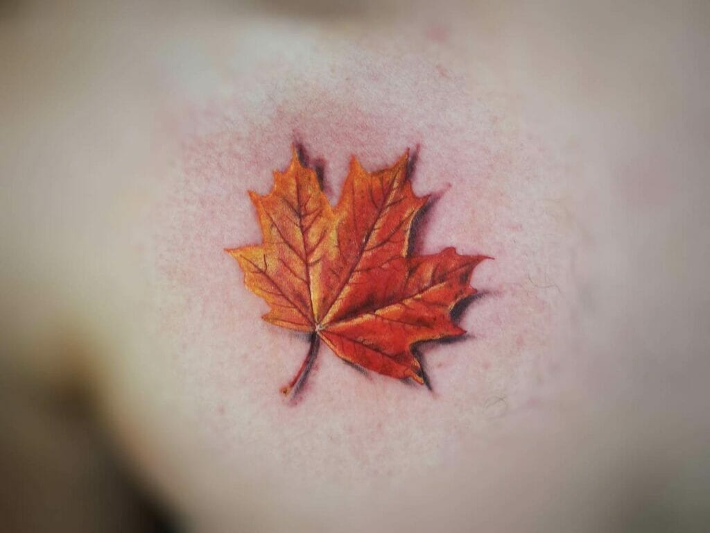3D Realistic Maple Leaf Tattoo On Chest