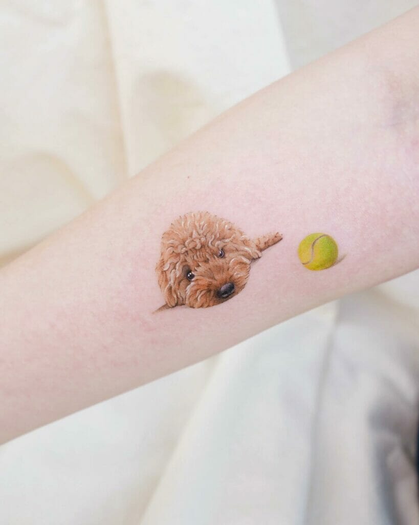 Realistic Toy Poodle Tattoo