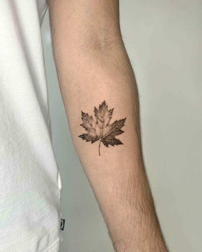 Monochrome Maple Leaf Tattoo