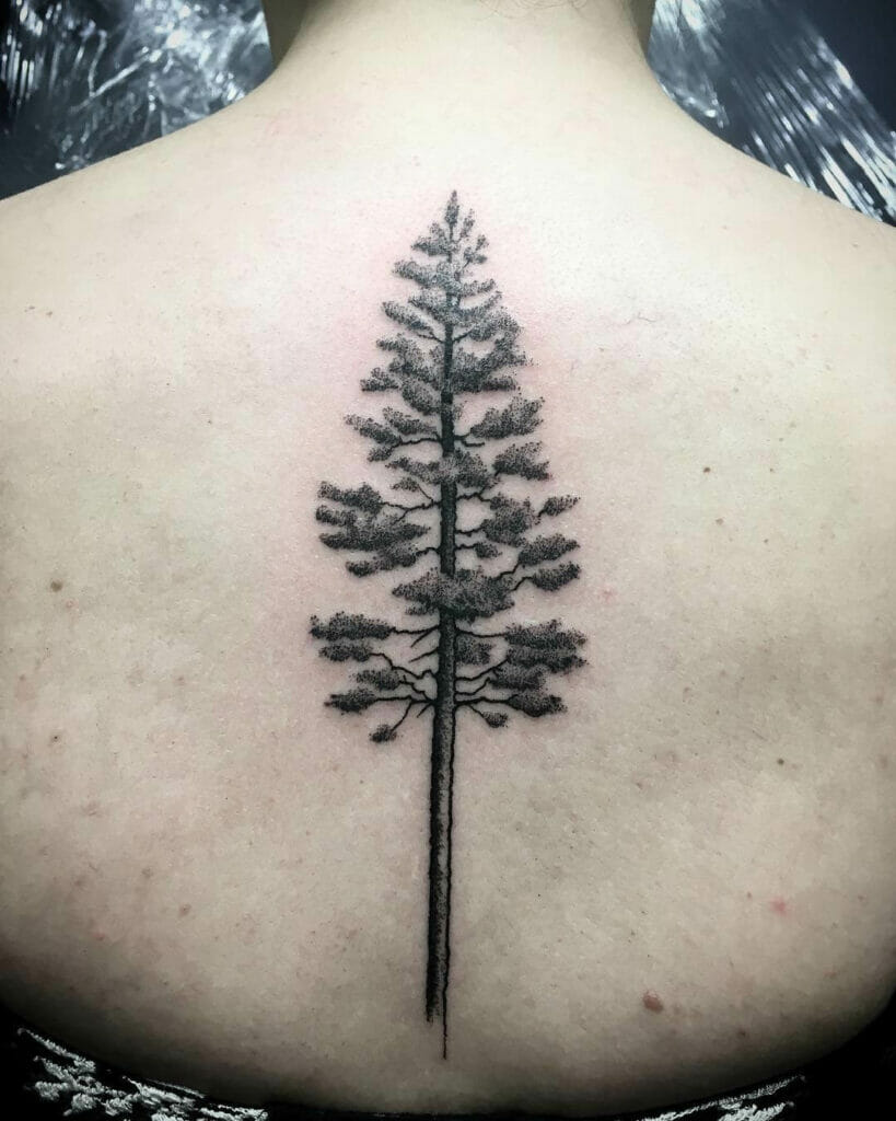 Evergreen Tree Tattoo On Back