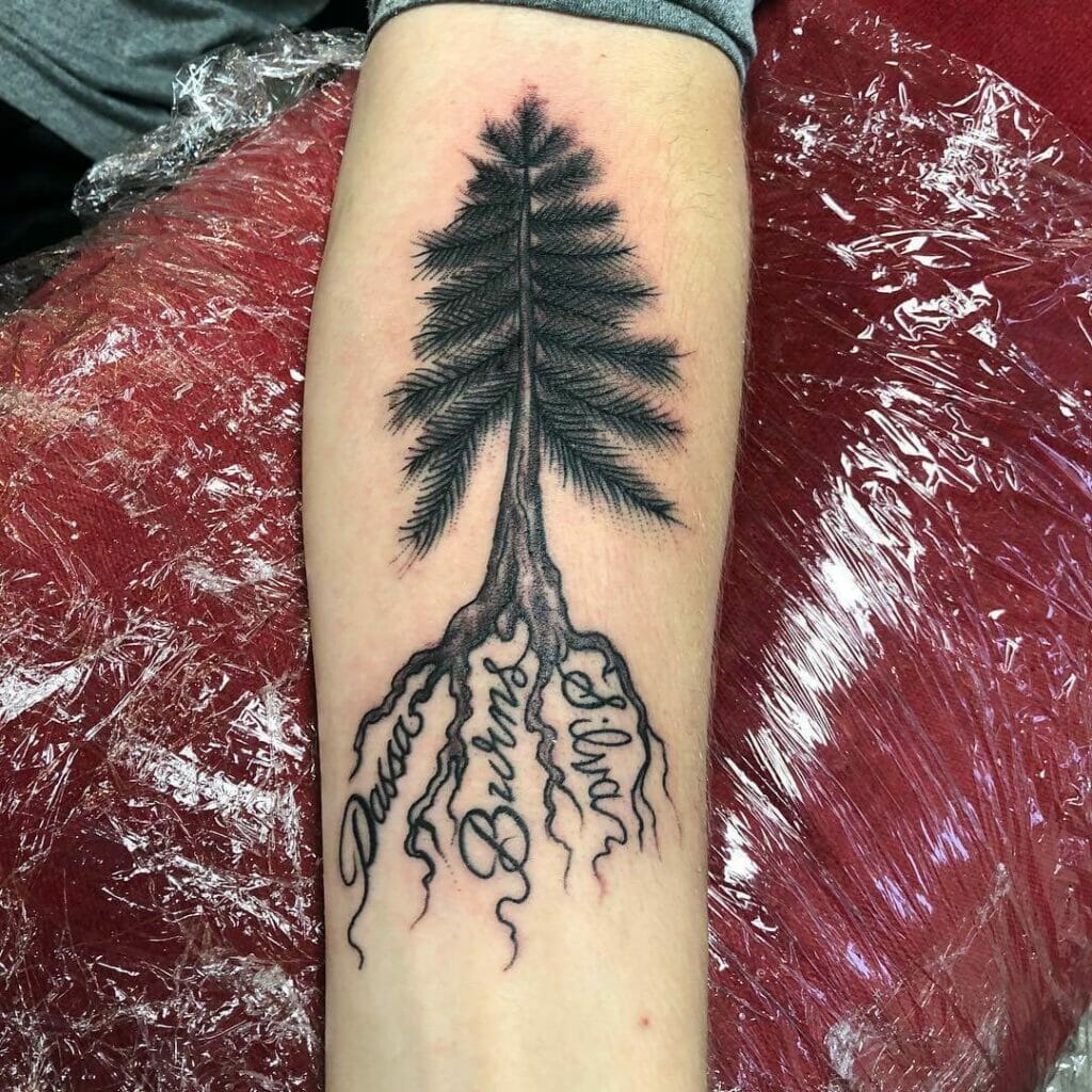 Evergreen Family Tree Tattoo