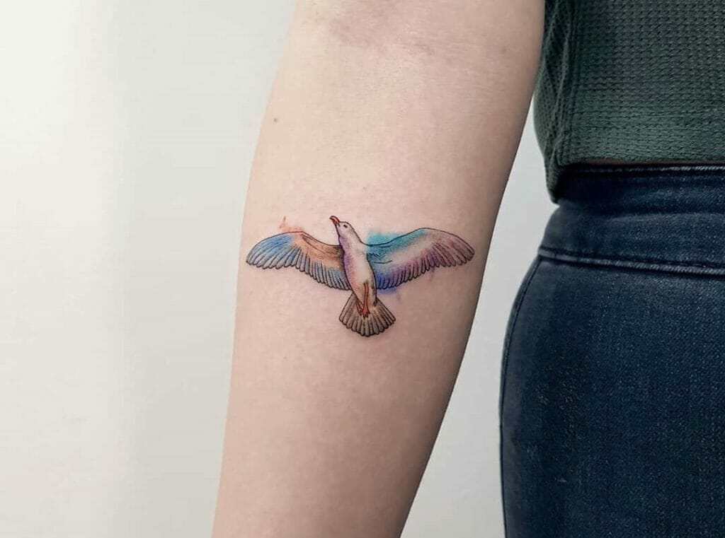 Seagull Tattoo
