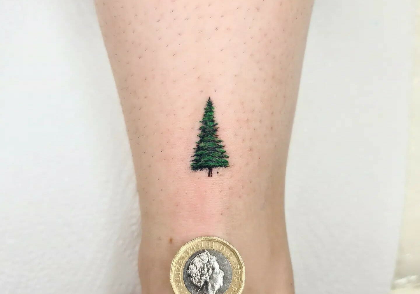 Tree Tattoos  Tattoo Insider