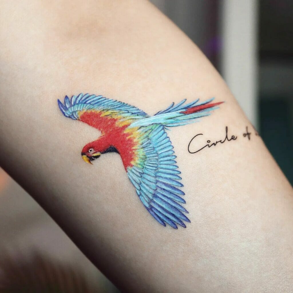 Bird Tattoo With Colorful Feathers
