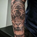Tiger sleeve tattoo ideas
