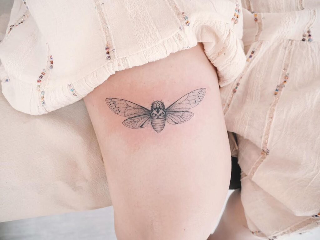 Cicada Tattoo